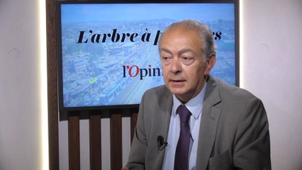 «La concurrence de la Chine est de plus en plus rude» juge Vincent Reina (Chambre de commerce franco-arabe)