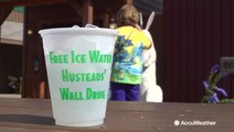 How Wall Drug Store turned free ice water into millions of customers