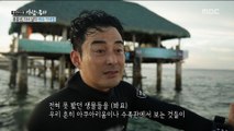 [PEOPLE] a husband who goes scuba diving with his wife,  휴먼다큐 사람이좋다  20190723