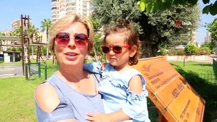 Bin 500 Yıllık ‘Anıt Ağaç’ Zeytin Verdi