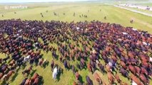 Drone footage captures thousands of horses galloping across grasslands at Xinjiang tourism festival