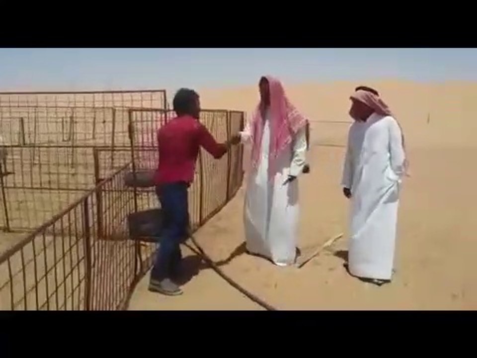 top saudi arabia comedy_very funny