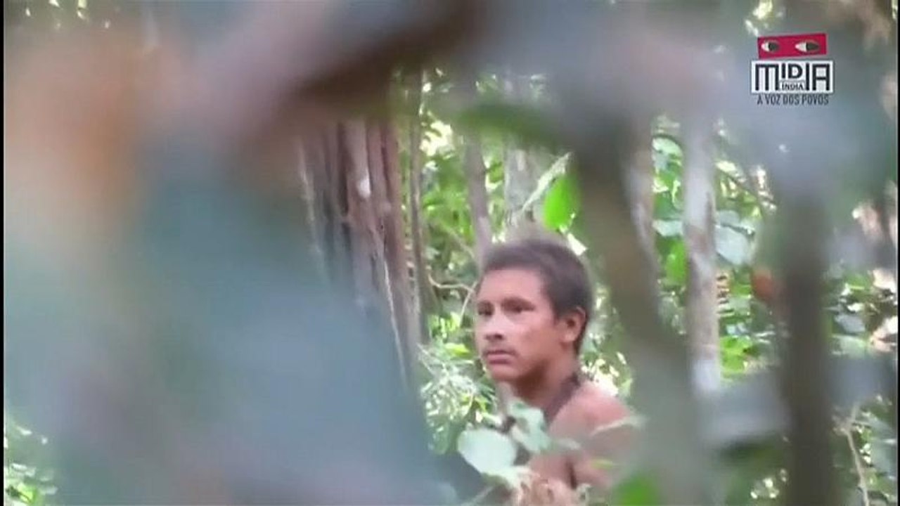 Amazonas: Stamm durch Rodung bedroht
