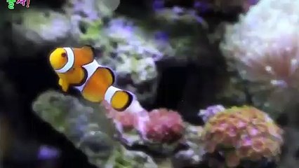 동작출장안마 -후불100%ョOiOy7685y6221｛카톡MGM1472｝ 동작전지역출장안마 동작오피걸 동작출장마사지 동작안마 동작출장마사지 동작콜걸샵♀￥≒