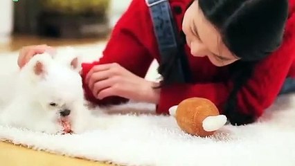 양산출장안마 -후불100%ョ OiOW2671W8135｛카톡ZHF526｝ 양산전지역출장안마 양산오피걸 양산출장마사지 양산안마 양산출장마사지 양산콜걸샵ぇえぉ
