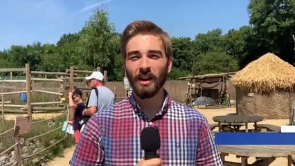 GOODLINES: 24th July 2019