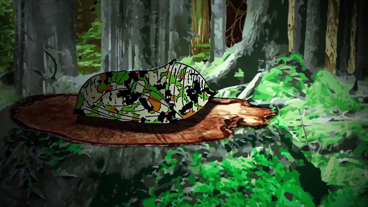zilbaro_