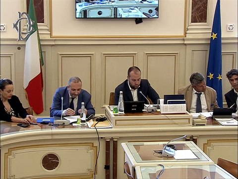 Roma - Raccolta dei rifiuti solidi dispersi in mare, audizione di esperti (23.07.19)