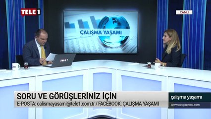 Meslek seçimi işsizlikte ne kadar etkili - Çalışma Yaşamı (20 Temmuz 2019)