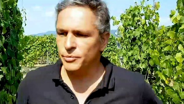 DNA - Frédéric Schwaerzler, conseiller viticole à la chambre d’agriculture d’Alsace, fait le point sur l'état d'avancement des vignes en Alsace