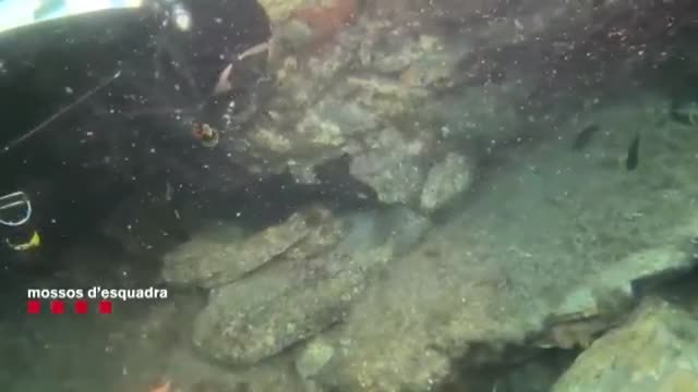 Pillados pescadores furtivos con casi dos kilos de coral rojo