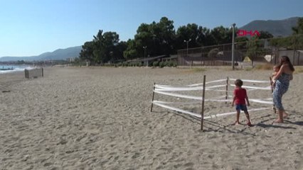 ANTALYA ŞEZLONGLAR ARASINDA YUMURTLAMA ALANI ARAYAN KAPLUMBAĞA TARTIŞMASI