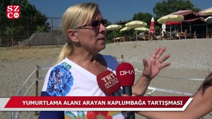 Kaplumbağaların yumurtlama alanına şezlong koyulması tartışması