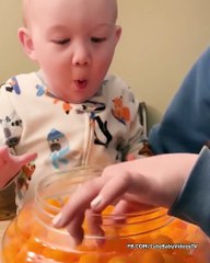 Adorable Babies Doing Funny Things - Funny Baby Video