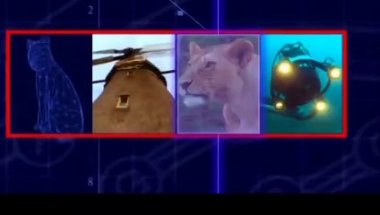 해남출장안마 -후불100%ョO7OW7333W9649｛카톡VV23} 해남전지역출장안마 해남오피걸 해남출장마사지 해남안마 해남출장마사지 해남콜걸샵сту