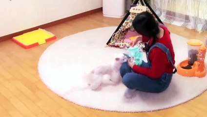 조치원출장안마 -후불100%ョOiOc2659c1768｛카톡SN92｝ 조치원전지역출장안마 조치원오피걸 조치원출장마사지 조치원안마 조치원출장마사지 조치원콜걸샵где