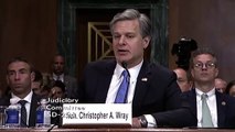 Director Christopher Wray Says FBI Made About 100 Domestic Arrests This Year