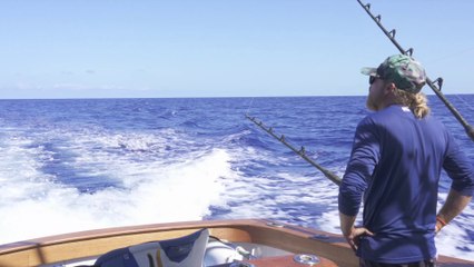 Visions of Granders: The Firecracker Open