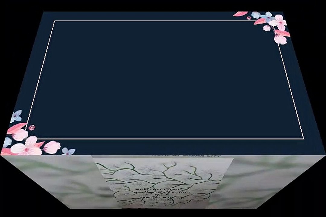 3rd video