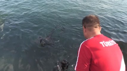 Denizden çuvallar dolusu çöp çıktı