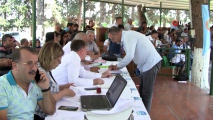 Safkan Arap taylarından 4 milyon 848 bin lira gelir