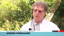 Efter flåtbid: 59-årig smittet med hjernebetændelse -  DR TVAvisen 23-07-2019