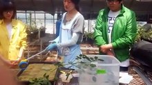 대구출장안마 -후불100%ョ OiOc7362c3210｛카톡VR91｝ 대구전지역출장안마 대구오피걸 대구출장마사지 대구안마 대구출장마사지 대구콜걸샵≠±×