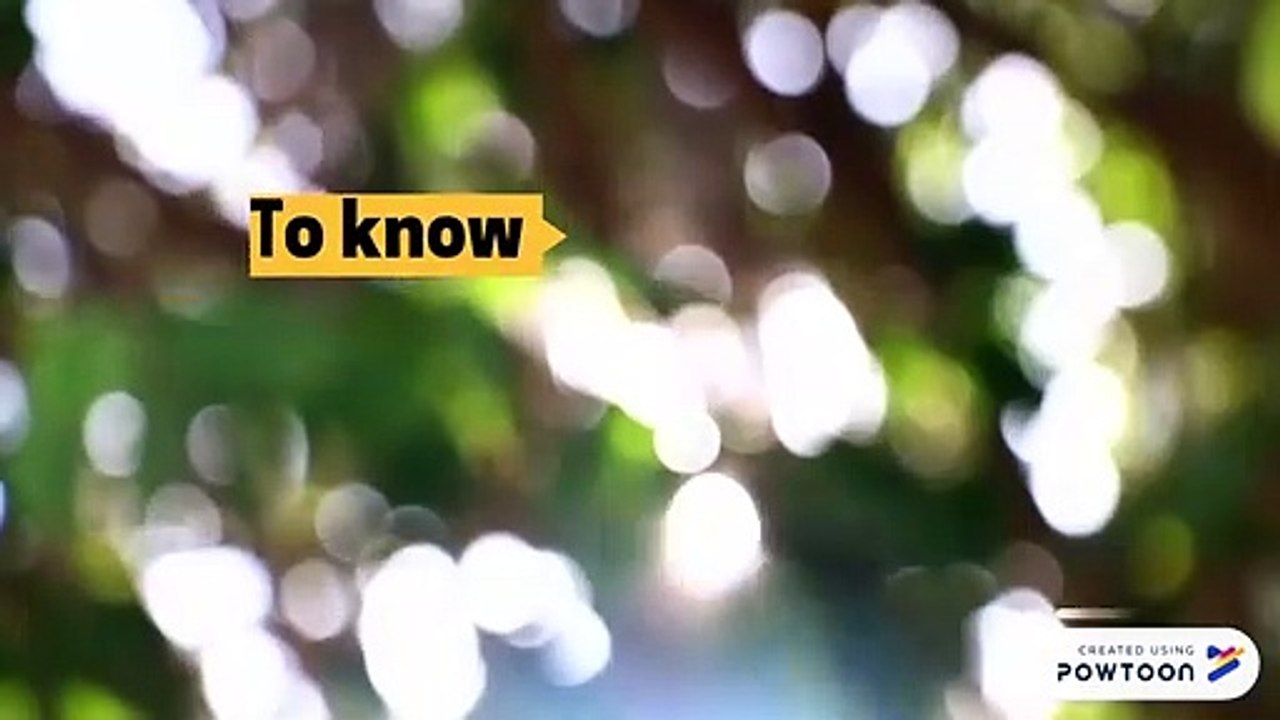 Top Website Where You Buy Sleeping Pills Prescription