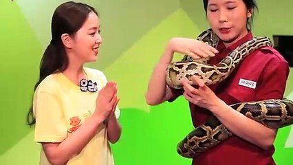 봉화출장안마 -후불100%ョO7Os7301s9649｛카톡ZF66｝ 봉화전지역출장안마 봉화오피걸 봉화출장마사지 봉화안마 봉화출장마사지 봉화콜걸샵ぺほま