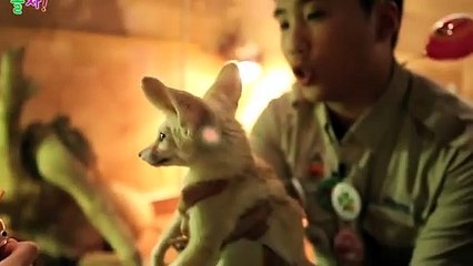 정읍출장안마 -후불100%ョO7Os7301s9649｛카톡LA25｝ 정읍전지역출장안마 정읍오피걸 정읍출장마사지 정읍안마 정읍출장마사지 정읍콜걸샵чшщ