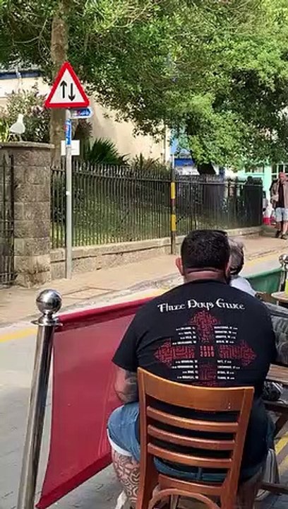 Un goéland voleur de saucisse
