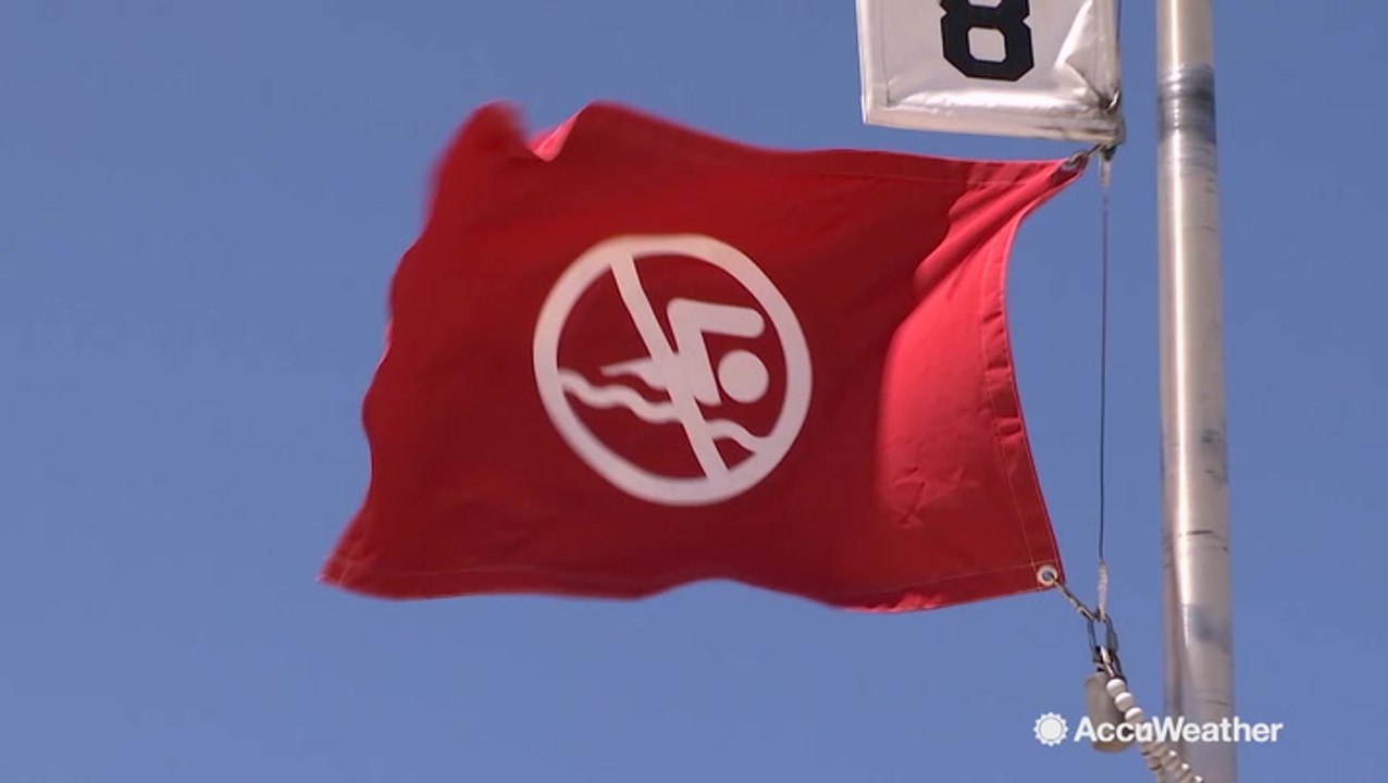 Heeding rip current alerts