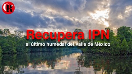 Recupera IPN el último humedal del Valle de México