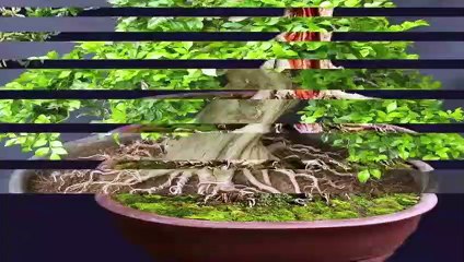 포항출장안마 -후불100%ョ OiOc7362c3210｛카톡VR91｝ 포항전지역출장안마 포항오피걸 포항출장마사지 포항안마 포항출장마사지 포항콜걸샵ЪЫЬ