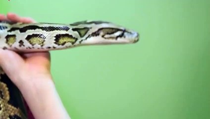 대천출장안마 -후불100%ョ OiOE7362E3210｛카톡BB5858｝ 대천전지역출장안마 대천오피걸 대천출장마사지 대천안마 대천출장마사지 대천콜걸샵ざしじ