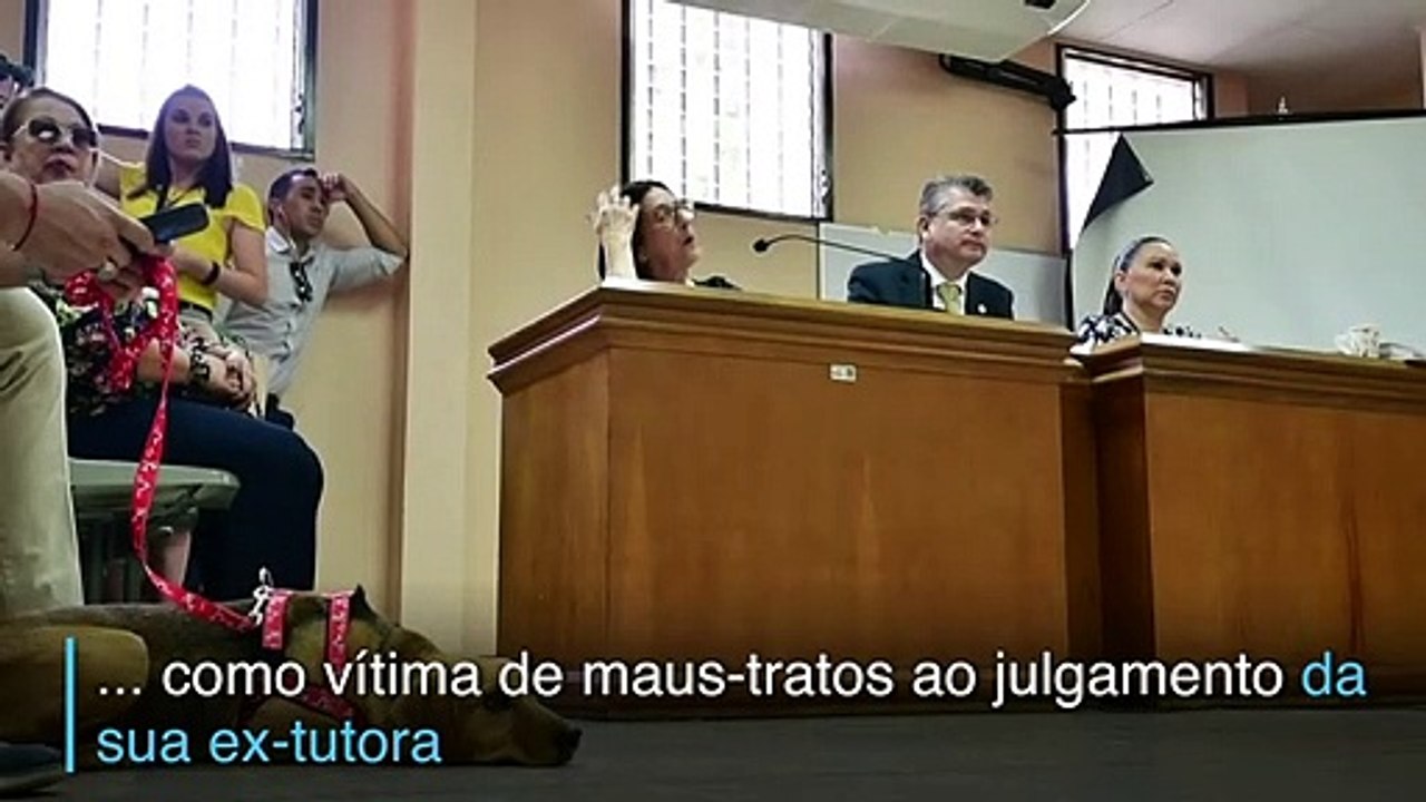 No tribunal