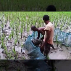 Lsian traditional fishing by village people  village life