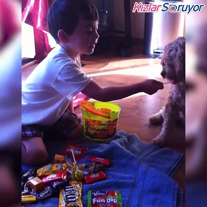 Sevginin en güzel halleri derleme