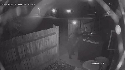 Κολοράντο: Αρκούδα προσπαθεί να ανοίξει κάδο απορριμμάτων