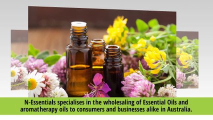 Wholesaler of Essential Oils and Skin Care Products
