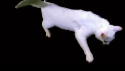 송도출장타이O7Os7301s9649｛카톡LA25｝ぱ송도출장안@마ぱ송도출장샵ぱ송도출장맛사지 ぱ송도출장걸썰 송도출장걸가격 송도출장러시아 송도외국인후불출장업소 송도24시출장마사지샵'예약ろゎわ