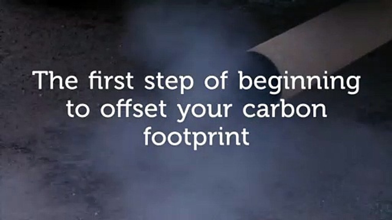 Steps of Carbon Offsetting