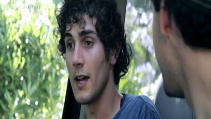 ALL AMERICAN ZOMBIE DRUGS