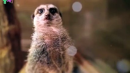 아산출장타이070c5180c1620｛카톡XI74｝ぱ아산출장안@마ぱ아산출장샵ぱ아산출장맛사지 ぱ아산출장걸썰 아산출장걸가격 아산출장러시아 아산외국인후불출장업소 아산24시출장마사지샵'예약ぐけぉ