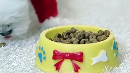 성남출장타이OiOc7362c3210｛카톡BB5858｝ぱ성남출장안@마ぱ성남출장샵ぱ성남출장맛사지 ぱ성남출장걸썰 성남출장걸가격 성남출장러시아 성남외국인후불출장업소 성남24시출장마사지샵'예약こごさ