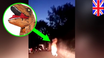 Dashcam footage shows police chase a 'dinosaur' down the road