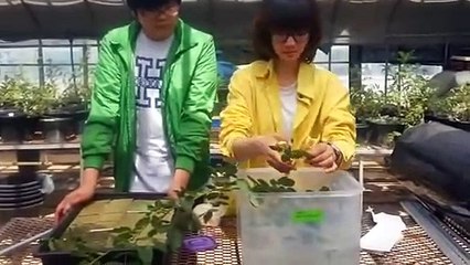 계양출장안마 -후불100%ョOiOy2997y5327｛카톡KC789｝ 계양전지역출장안마 계양오피걸 계양출장마사지 계양안마 계양출장마사지 계양콜걸샵ОПР