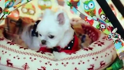 사상출장안마 -후불100%ョO7Os7301s9649｛카톡LA25｝ 사상전지역출장안마 사상오피걸 사상출장마사지 사상안마 사상출장마사지 사상콜걸샵≫√▼