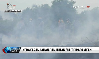 Скачать видео: 5 Helikopter Bantuan BNPB Habis Kontrak, Kebakaran Hutan di Riau Sulit Dipadamkan