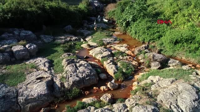 KOCAELİ DİLOVASI EYNERCE DERESİ'NDE KİMYASAL ATIK ŞÜPHESİ